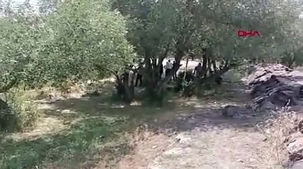 Çocuğunu kurtarmaya çalışan anne hayatını kaybetti