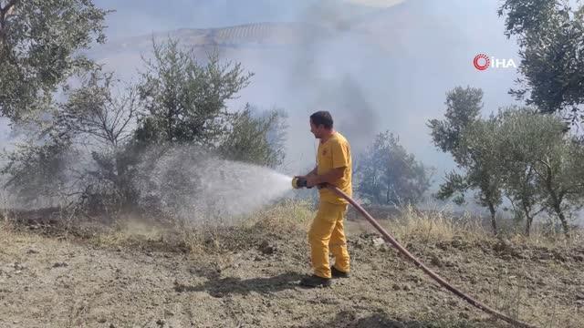 Bursa haber... Bursa'da zeytinlik alan yangını korkuttu