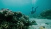UNDERWATER Adventure!  John Pennekamp Coral Reef State Park (Key Largo, Florida) - Travel Video Tour, Review & VLOG