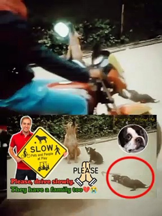 Please Drive Slowly