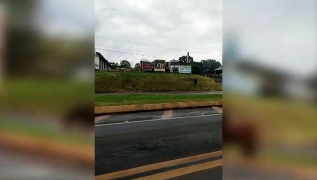 Atenção condutor, cavalos estão soltos na BR-277