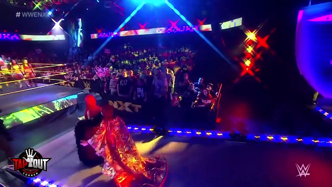 Funny Things Fans Did at WWE Shows