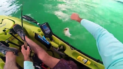 6 Shark Encounters That Will Haunt You