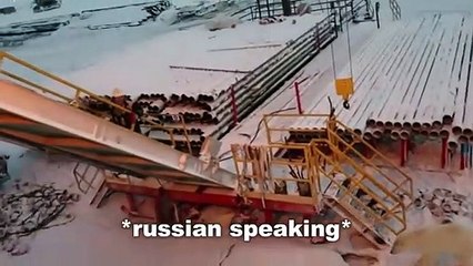 6 Polar Bear Encounters That Will Shock You