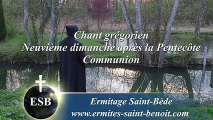 Offertoire Justitiae Domini du 9e dimanche après la Pentecôte - Ermitage Saint-Bède film Jean-Claude Guerguy by Ciné Art Loisir.