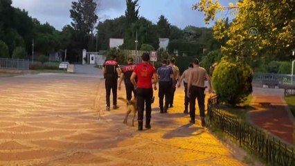 Polisten asayiş denetimi