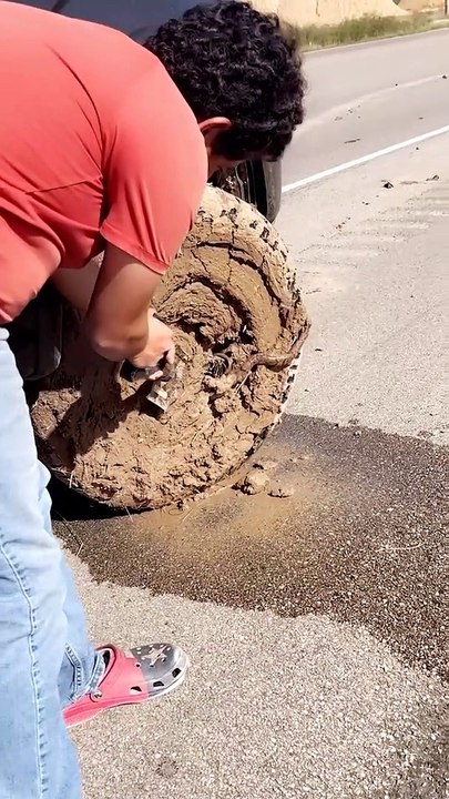 Snake Gets Stuck in Muddy Truck Tire