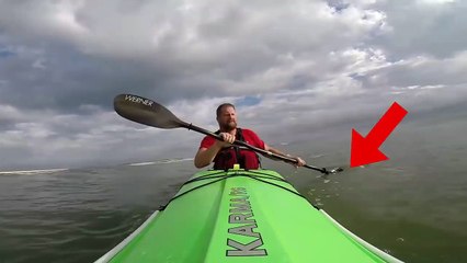 6 Shark Encounters That Will Traumatize You