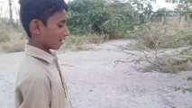 WAHAD|Balochi Film|2021|A Film By Hammal Noor