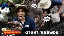 เรื่องเด็ดลุยเดี่ยว | ลุยป่าโกงกางตามหาหอยพอก จ.จันทบุรี | ข่าวเที่ยงอมรินทร์ | 16 ส.ค.65