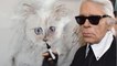 GALA VIDÉO - Karl Lagerfeld : 3 ans après sa mort, sa chatte Choupette vit sa meilleure vie !