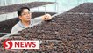 A brewing success for Johorean in coffee business