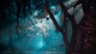 Relaxing forest night sounds © Sleep & Relaxation