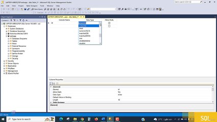 Column Data Types on SSMS