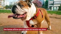 ‘Elle s'est aventurée dans un domaine quelque peu existentiel’ : une femme communique avec son chien  !