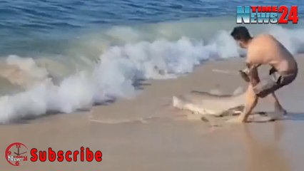 Shocking Video | Man Battles Shark with Bare Hands in Long Island beach of New York