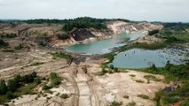 مساع حكومية لإعادة تشجير الغابات في إندونيسيا