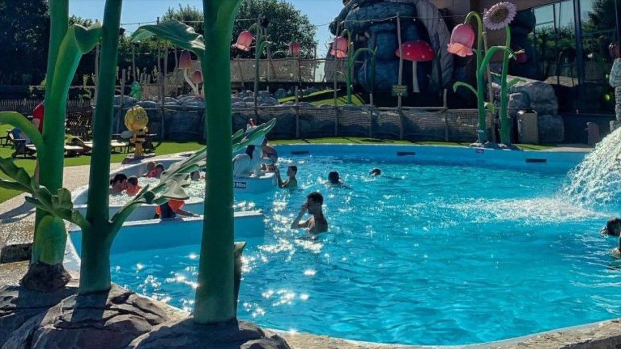 Des parents abandonnent leurs deux bébés en plein soleil à Plopsaqua Hannut pour aller nager