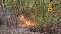 Incendio sul Monte Arsiccio, vigili del fuoco all'opera