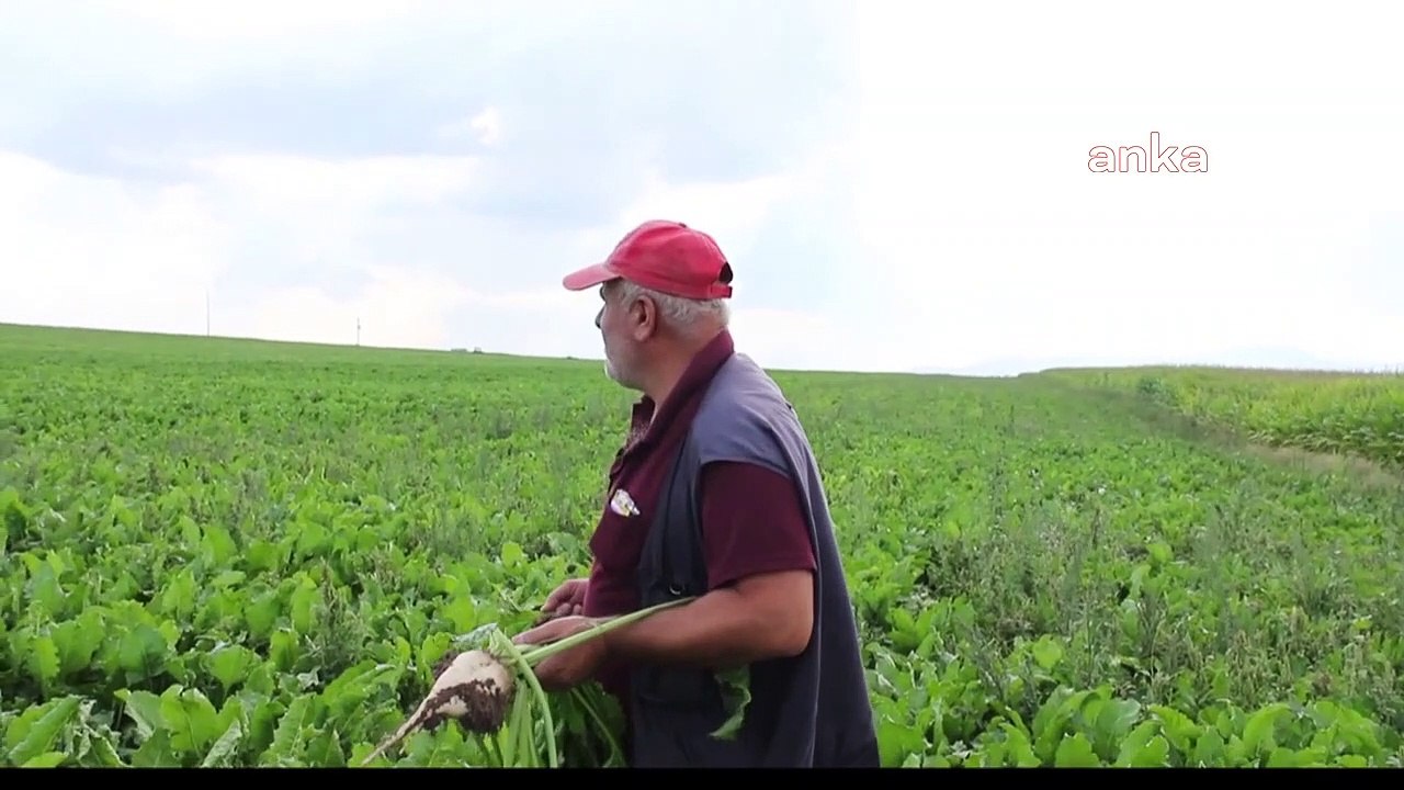 Çiftçi'den tepki: Elim hamur, karnım aç durumundayız