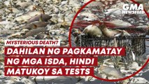 Mysterious death? Dahilan ng pagkamatay ng mga isda, hindi matukoy sa tests | GMA News Feed