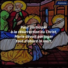 Est-il possible que la Vierge Marie  ait connu la mort ?