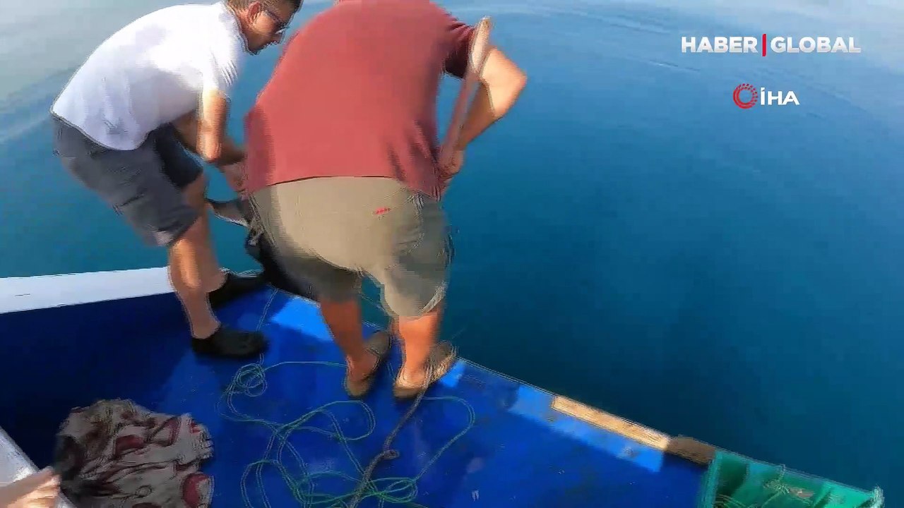 Yunanlılara kafa tutan Türk balıkçıdan nefes kesen kılıç balığı avı
