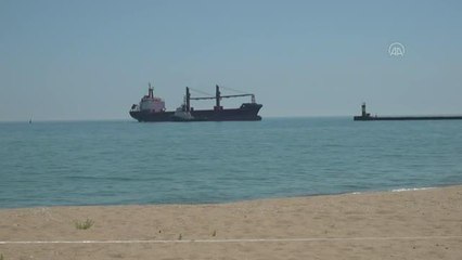 Ukrayna'dan tahıl taşıyacak "Fulmar S" isimli gemi, Ukrayna'nın Çernomorsk Limanı'na geldi