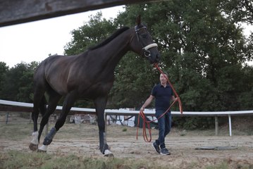 Palio, le previsite: parlano Valter Pusceddu e Stefano Calbucci