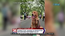 Asong si Aki, kasama sa graduation ng kanyang fur parent sa U.P. | 24 Oras