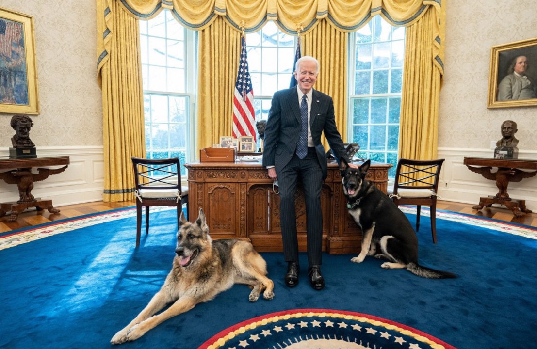 US president Joe Biden tests negative for COVID-19