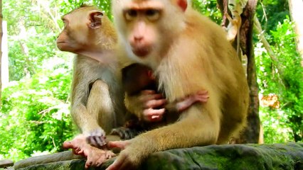 19=Mom Libby don't push me.. !! Rainbow trying to get milk