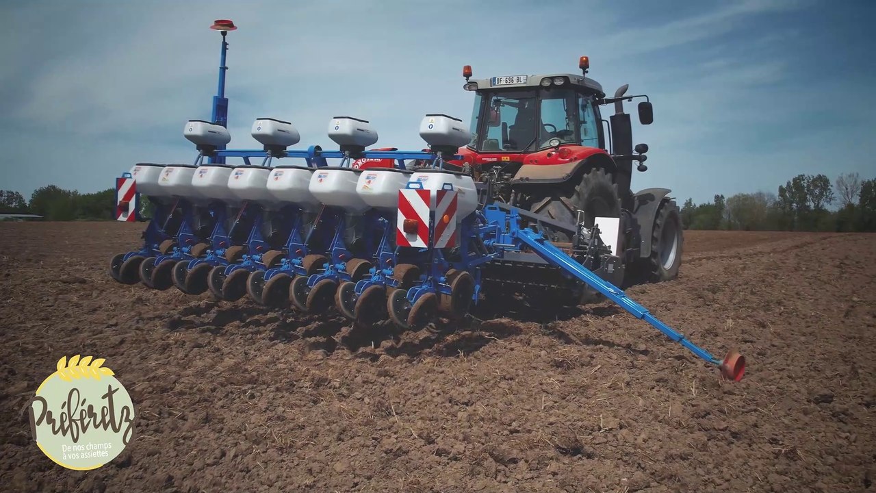 Semis de tournesols 2022 - Ferme PrefeRetz