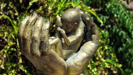 Babies in the Privy: A Tale of Abortion