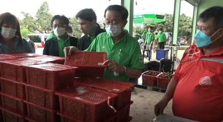 รมว.คลัง ลงพื้นที่ช่วยเหลือแก้ปัญหา "ลำไย"