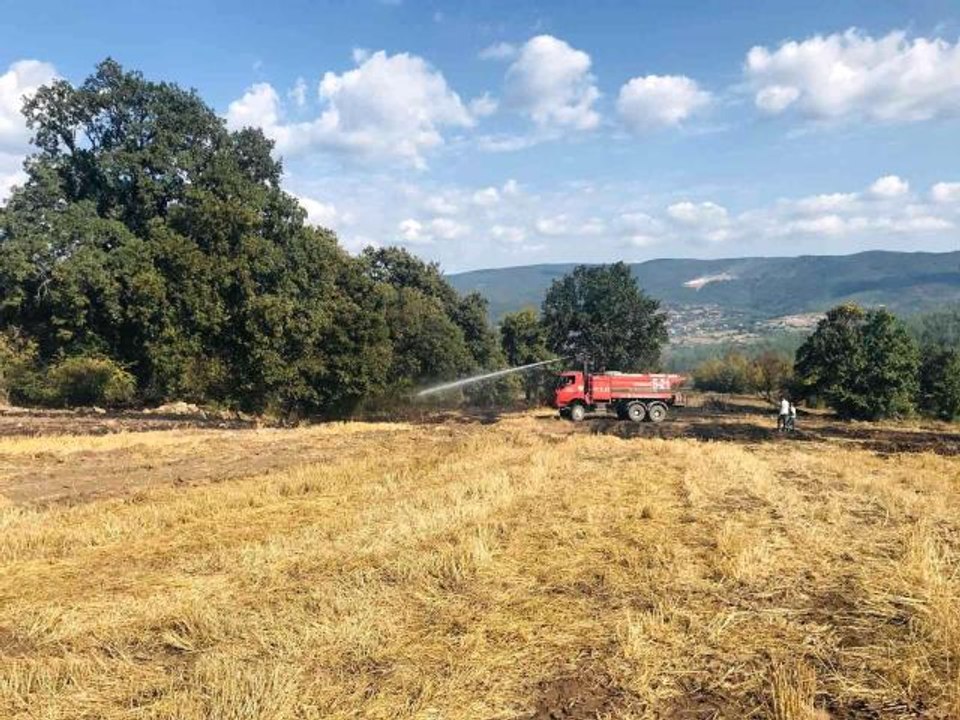 Çanakkale haber... Çanakkale'de çıkan orman yangını kontrol altına alındı