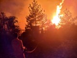 Son dakika haberleri | Soma'daki orman yangınında 50 hektarlık alan zarar gördü