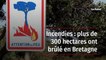 Incendies : plus de 300 hectares ont brûlé en Bretagne