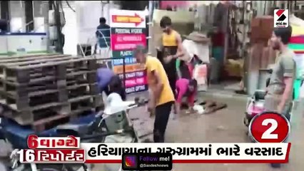 114 તાલુકામાં વરસાદે રમઝટ બોલાવી | રાજ્યમાં 22 જિલ્લાઓ લમ્પીથી અસરગ્રસ્ત