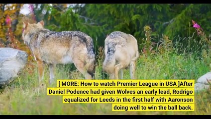 Leeds vs Wolves highlights Aaronson stars as Leeds win it late