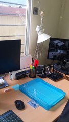 Sharing the Office With an 8-Legged Australian Horror Story