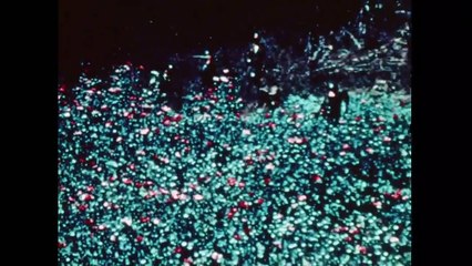 Señores de la droga Temporada 1 Episodio 3