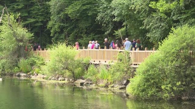Ankara haberi: Ankara Büyükşehir'in Doğa Yürüyüşlerinin Üçüncüsü Çubuk Karagöl'de Düzenlendi