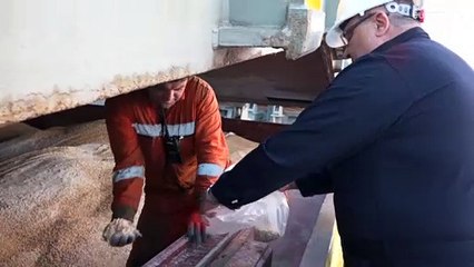 Ukraine : quatre nouveaux navires quittent les ports de la Mer Noire