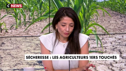 Jeannette Bougrab :  «On va pénaliser les agriculteurs français et en même temps importer, c’est triste à mourir»