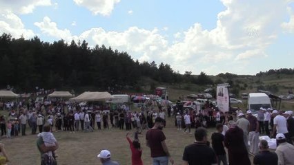 MHP'liler yayla şenliğinde bir araya geldi