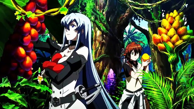 ❤ 「AMV」 Akame Ga Kill -Tatsumi & Esdeath