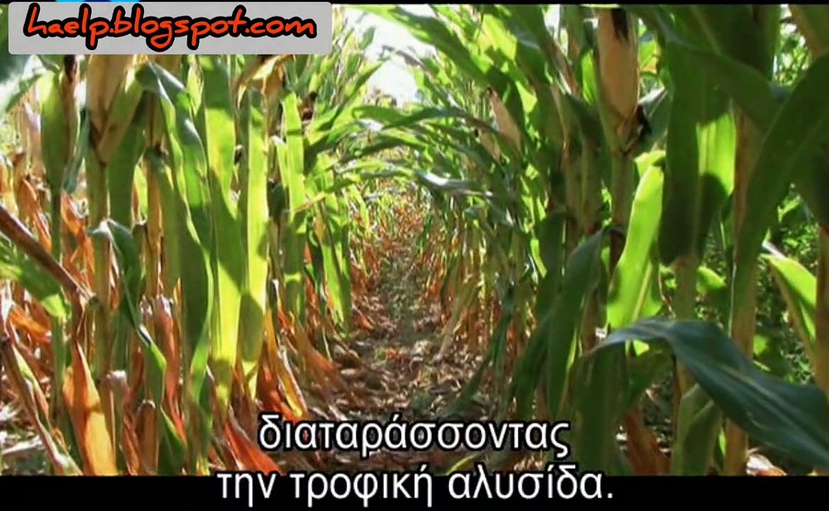 Αποκάλυψη - Τροφή για σκέψη (Part 1/2) - haelp.blogspot.com