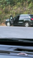 Bear Breaks Into Car