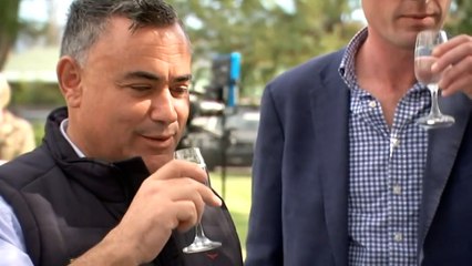 Barilaro US job inquiry set to probe all NSW trade appointments